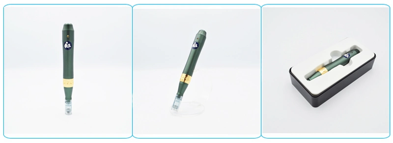 Q3 Microneedle Electric Derma Pen with Two Needle Cartridges