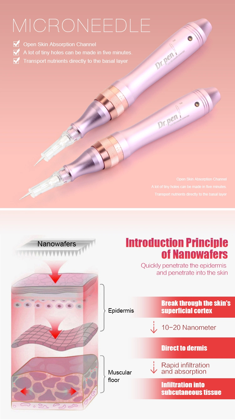 Manufacturer Electric Dr Pen Auto Micro Needle Therapy System A1 Derma Pen