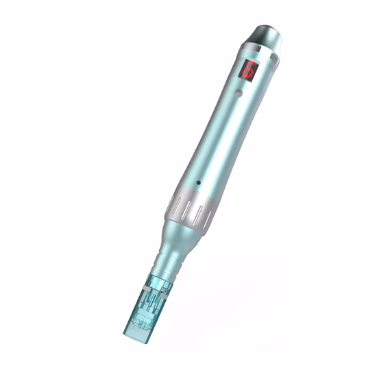 Professional Dermapen Electric Derma Pen for Wrinkle Removal